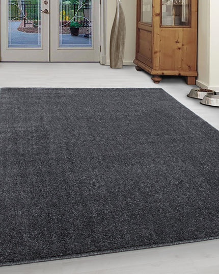 Tapis moderne - Uni - Gris