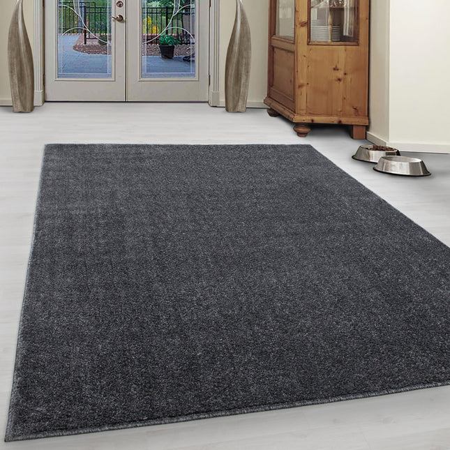 Tapis moderne - Uni - Gris