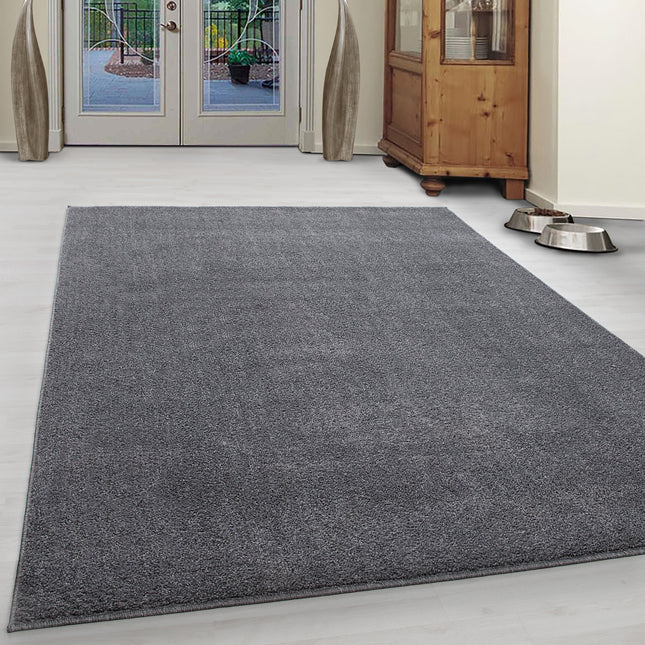 Tapis moderne - Uni - Gris clair