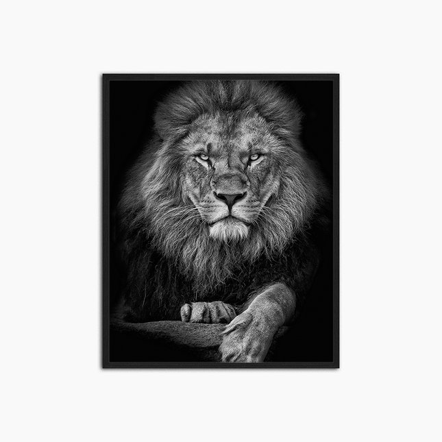 The Lion - Print Muurdecoratie